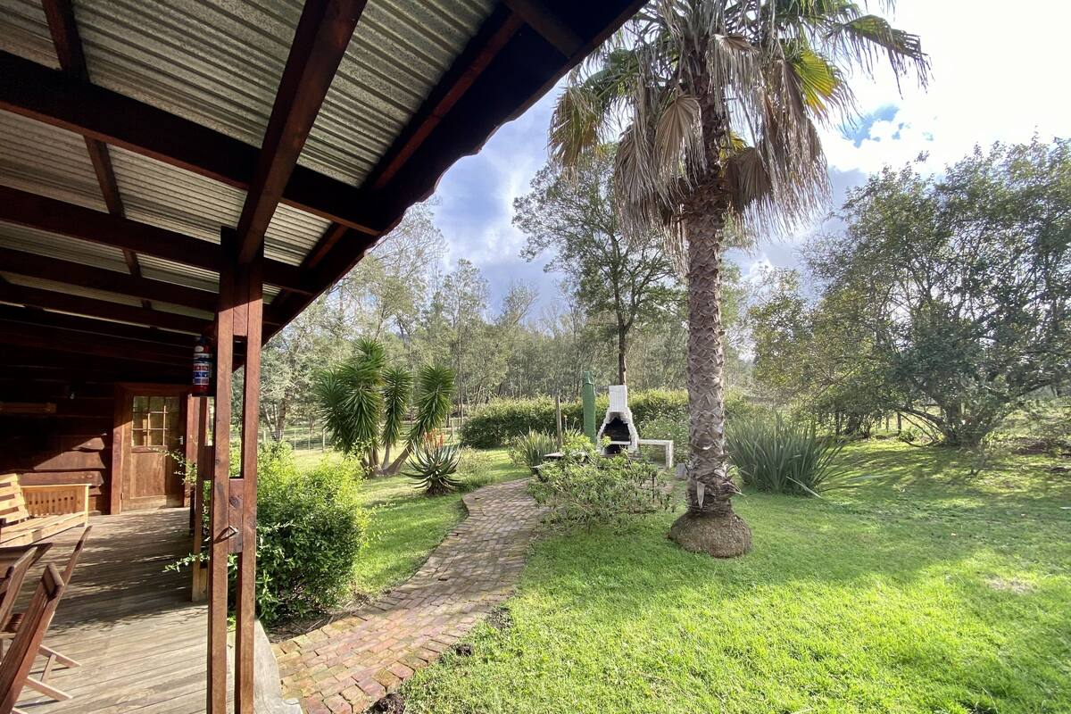 Nguni Forest Lodge 3 (6 adults/2 kid) | Terrasse/patio