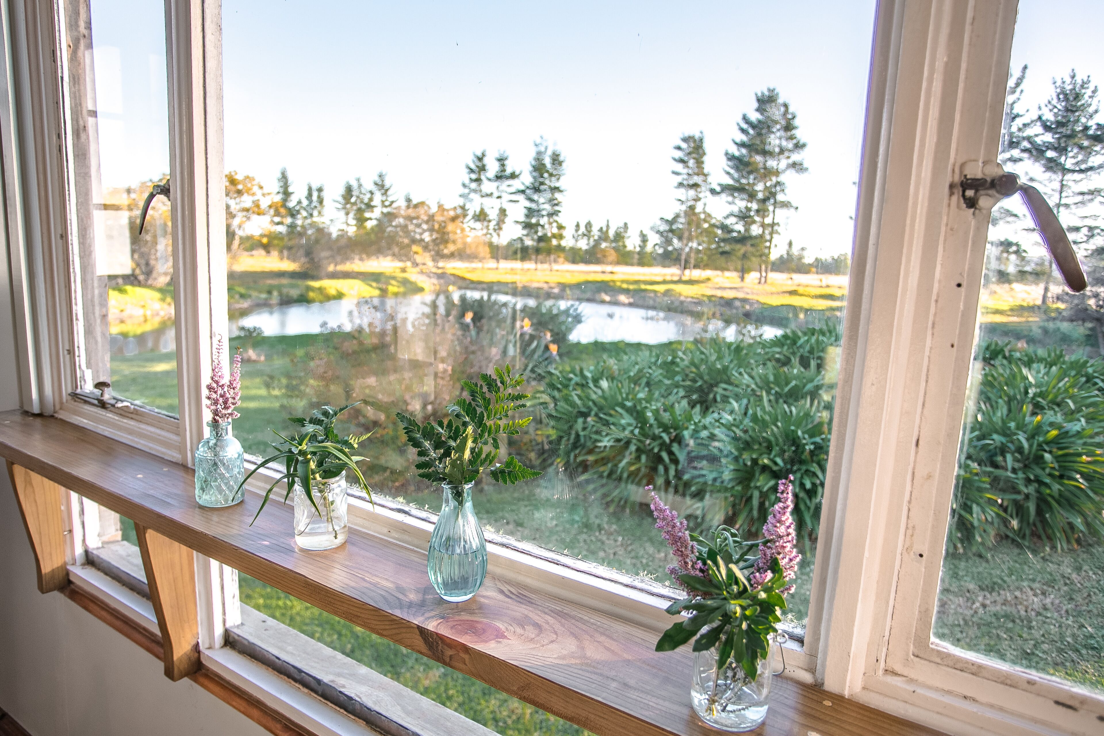 A window with a view of a pond and greenery, and three vases with plants on a wooden ledge.