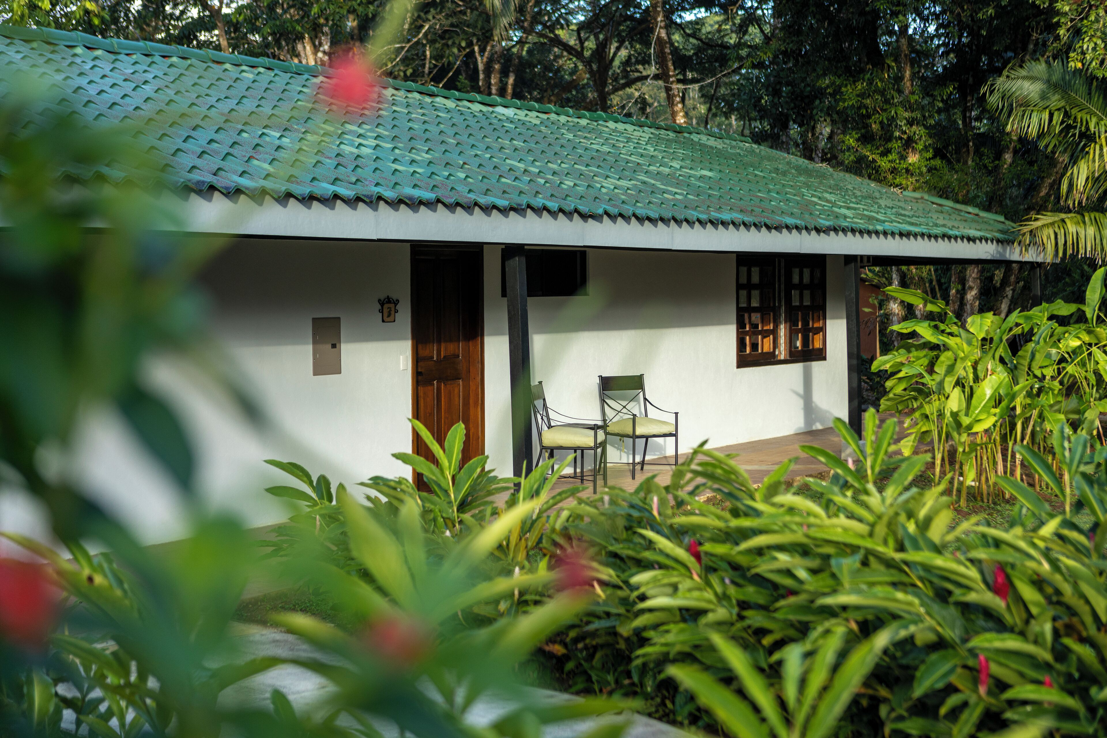 A small house with a green tiled roof, two chairs outside, and lush greenery around.