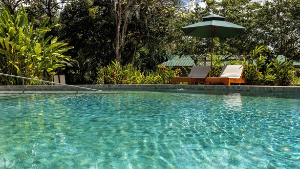 A clear pool with lounge chairs and umbrellas, surrounded by lush greenery. - Natural Lodge Caño Negro (Caño Negro)