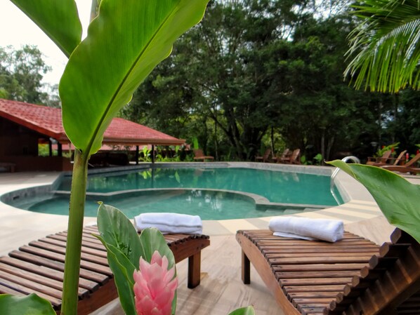 Outdoor pool, pool loungers