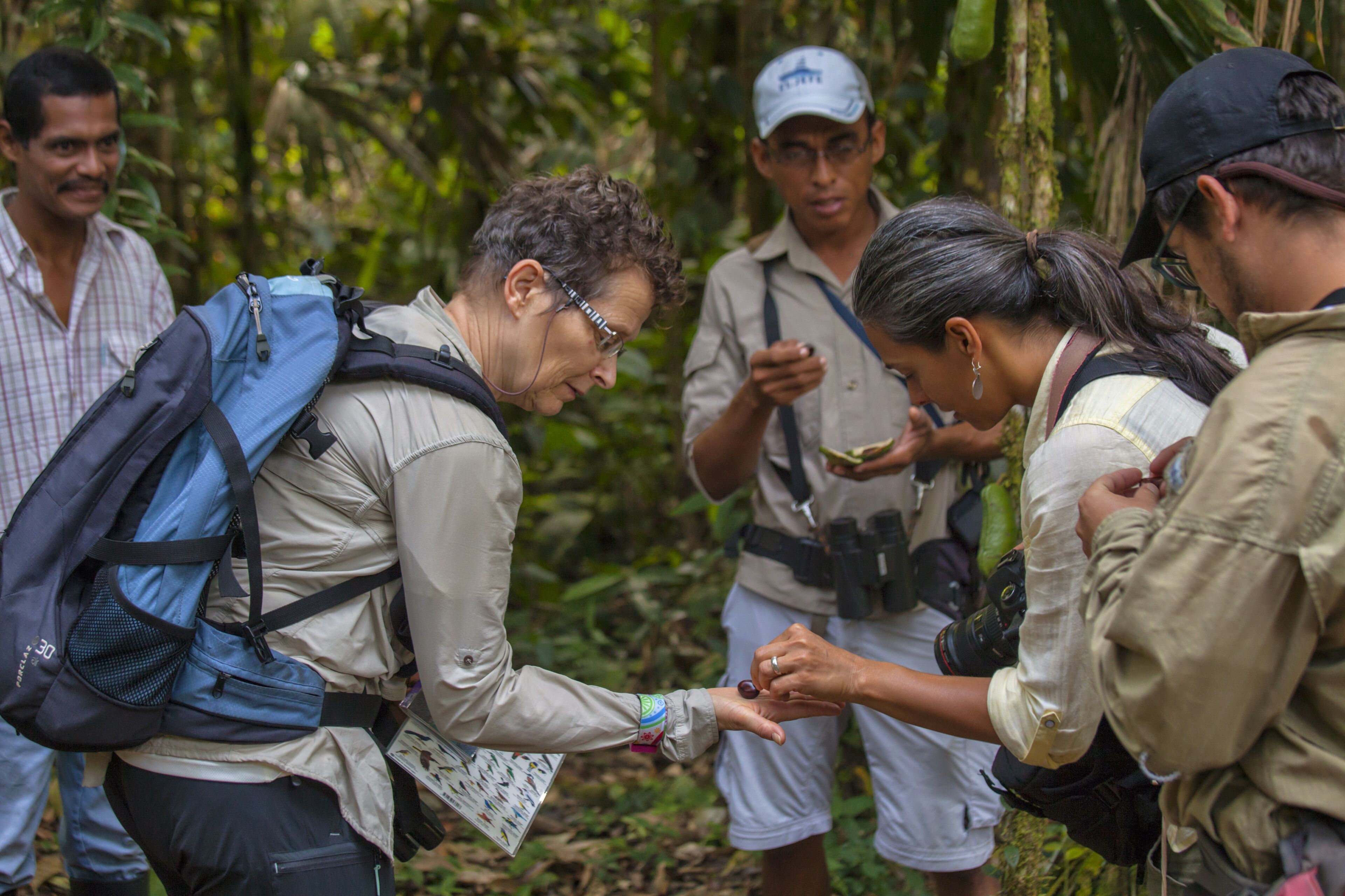 Un grupo de personas en un área boscosa, algunas con mochilas y otras llevando objetos.