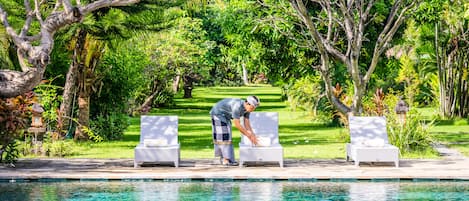 Outdoor pool, sun loungers