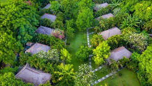 An aerial view of a resort with thatched-roof huts arranged in a circular pattern, surrounded by lush greenery and palm trees.