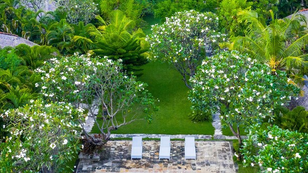 A rectangular swimming pool surrounded by lush greenery and a small pond.