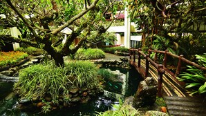 Un giardino tranquillo con un piccolo stagno, vegetazione lussureggiante e un ponte di legno.