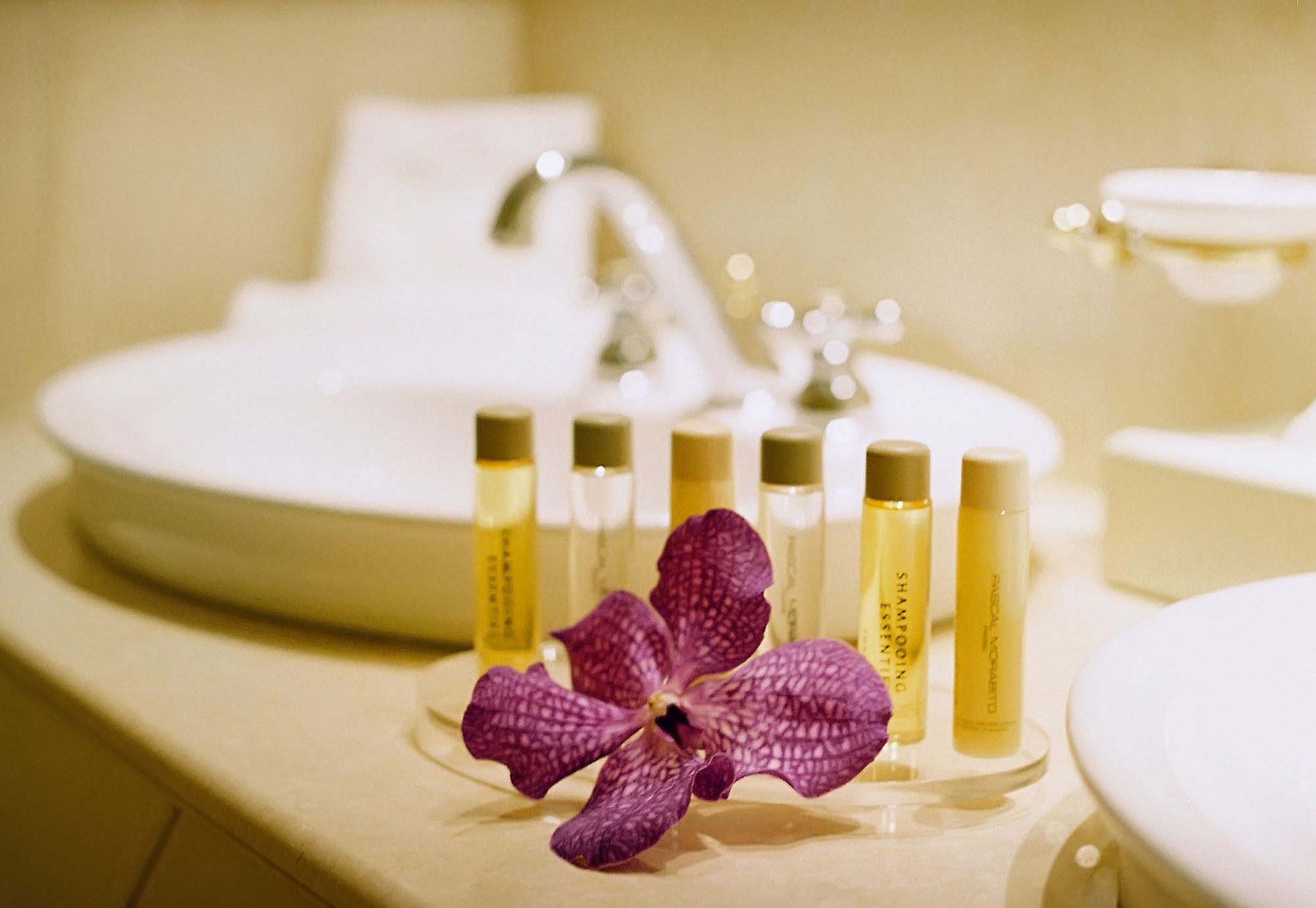 A bathroom sink with a purple orchid and several bottles of shampoo.