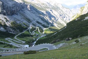 Property grounds - Genziana (Bormio)