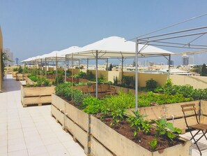 Teres/patio