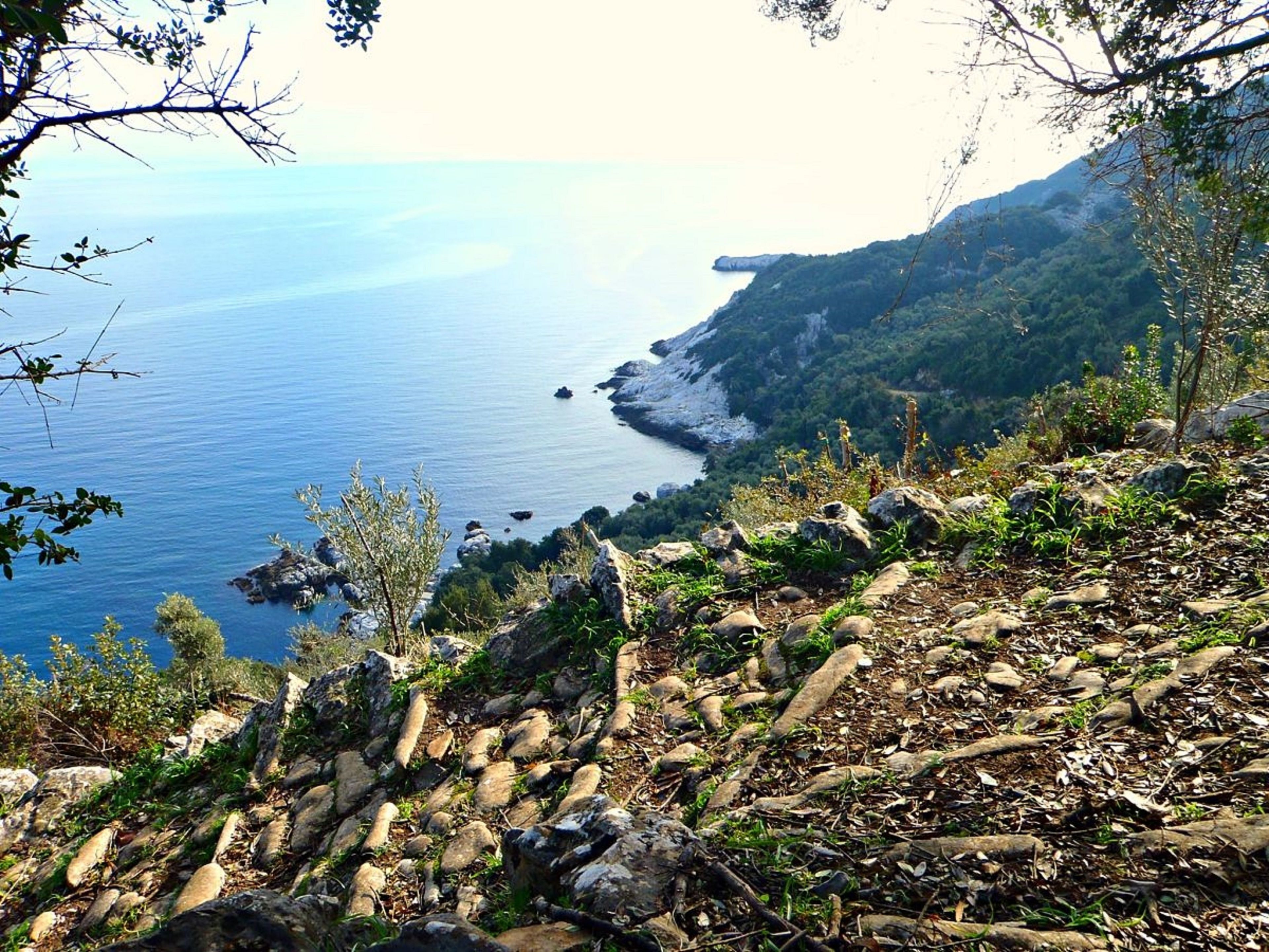 Un paysage côtier caractérisé par un terrain rocheux et une végétation clairsemée.