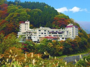 View from property - (Kurobe)