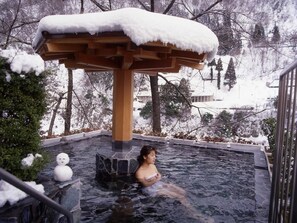 View from property - (Kurobe)