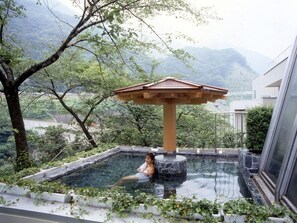 View from property - (Kurobe)