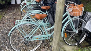 A row of vintage bicycles parked under a wooden shelter with a rope and a basket attached to one. - Driftwood Cottages (Dover)