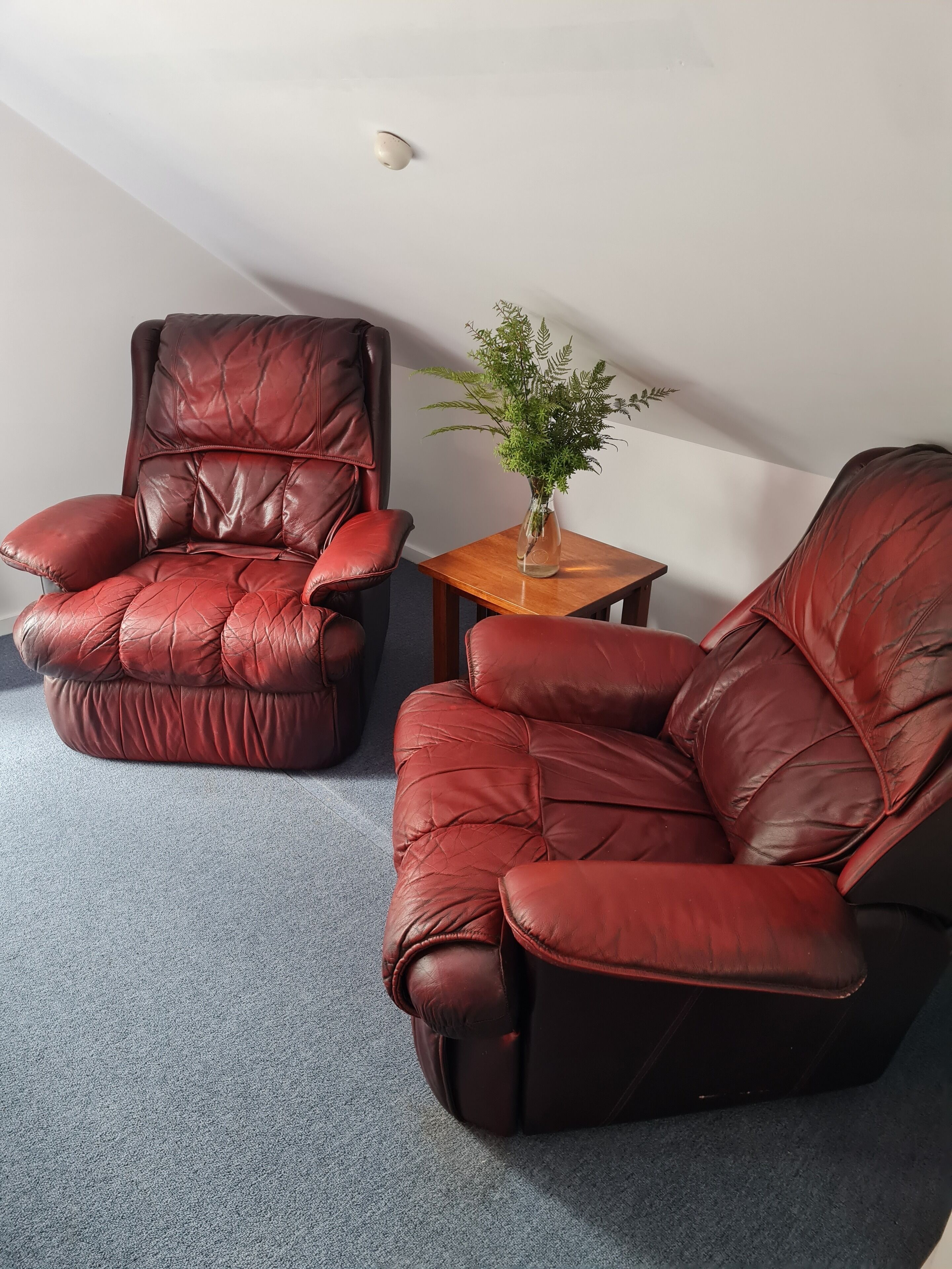 Two leather recliners in a room with a small wooden table and a potted plant.
