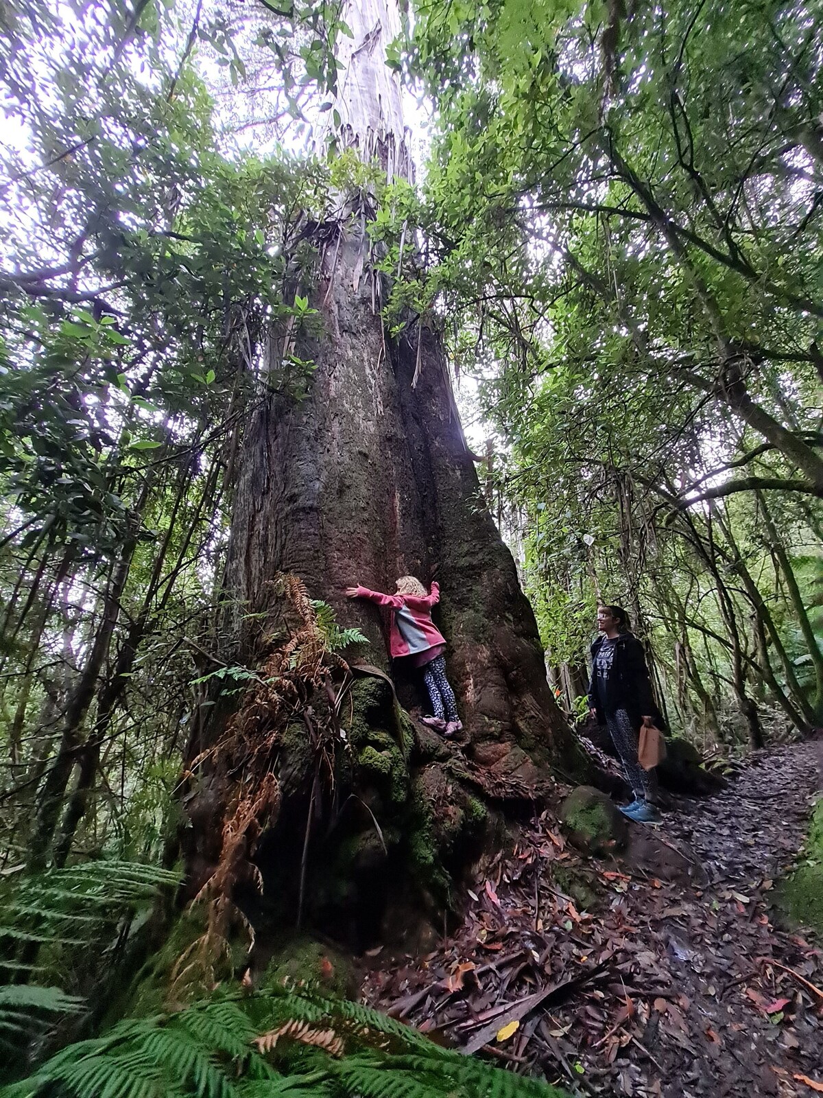 Huon Bush Retreats