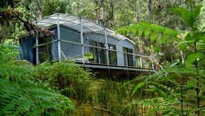 Una casa con techo metálico y un balcón, rodeada de un bosque denso.