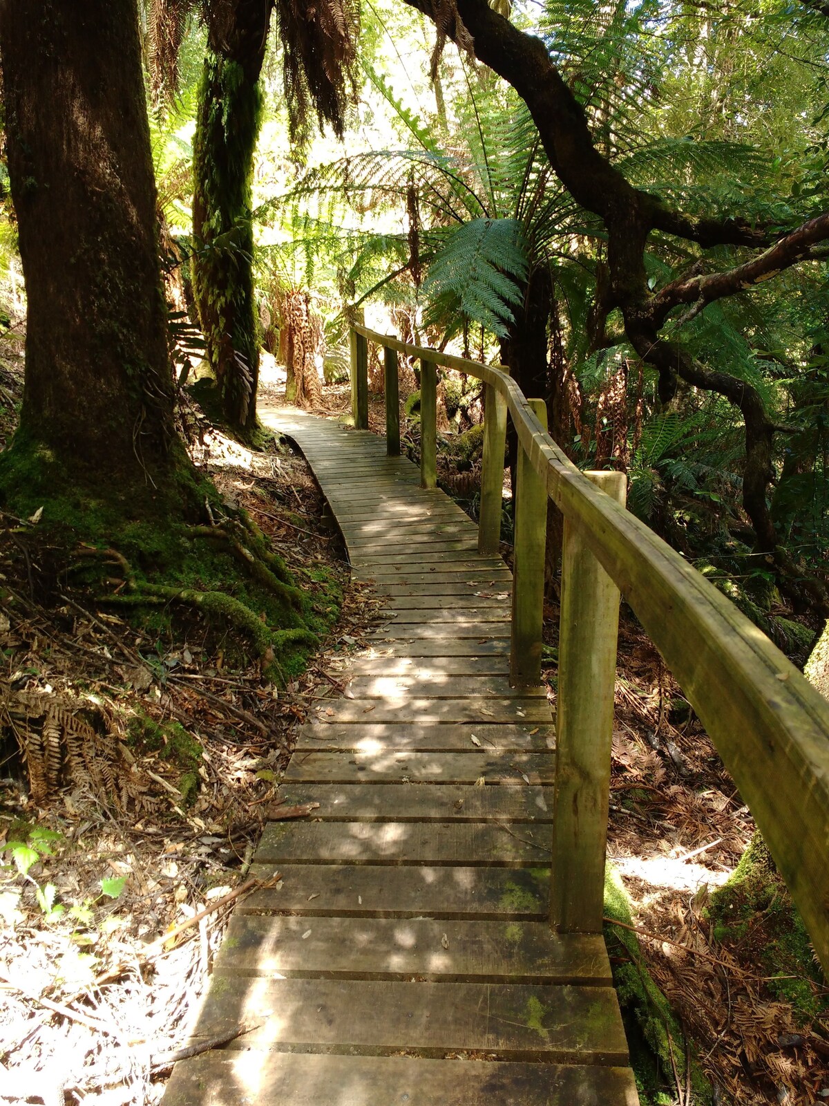 Huon Bush Retreats