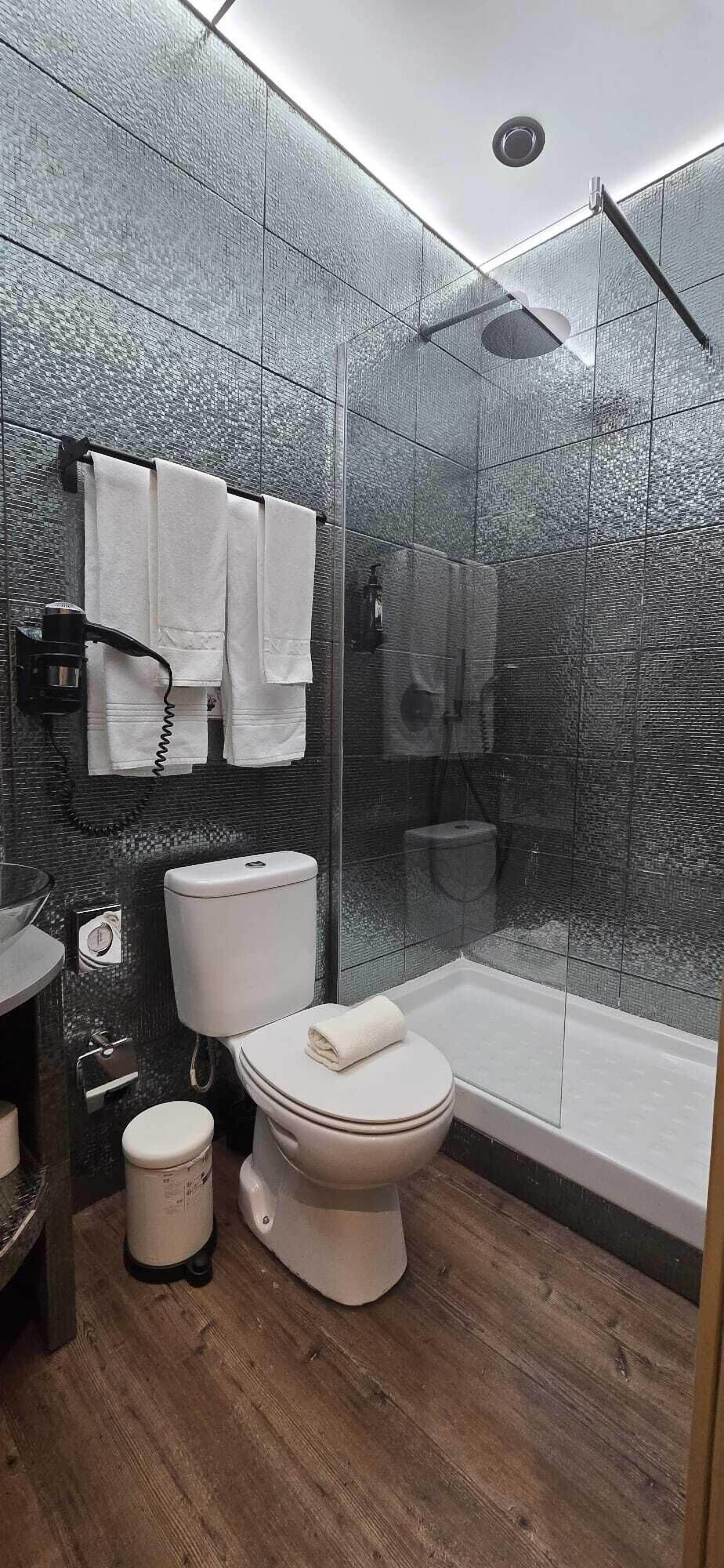 A modern bathroom with a glass-enclosed shower, a toilet, and a bathtub.