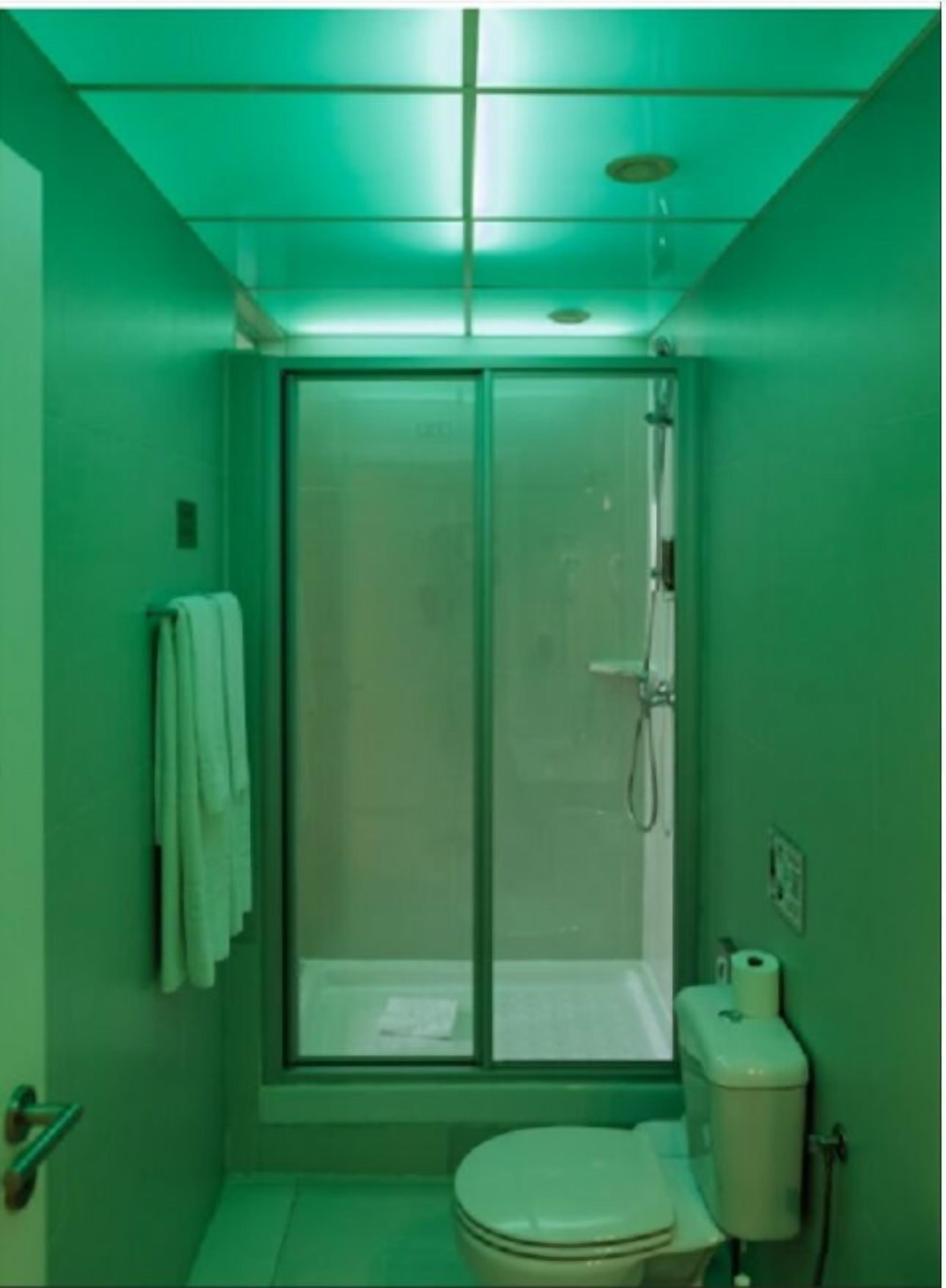 Un baño pequeño con decoración verde, que incluye un inodoro, cabina de ducha y un perchero para toallas.