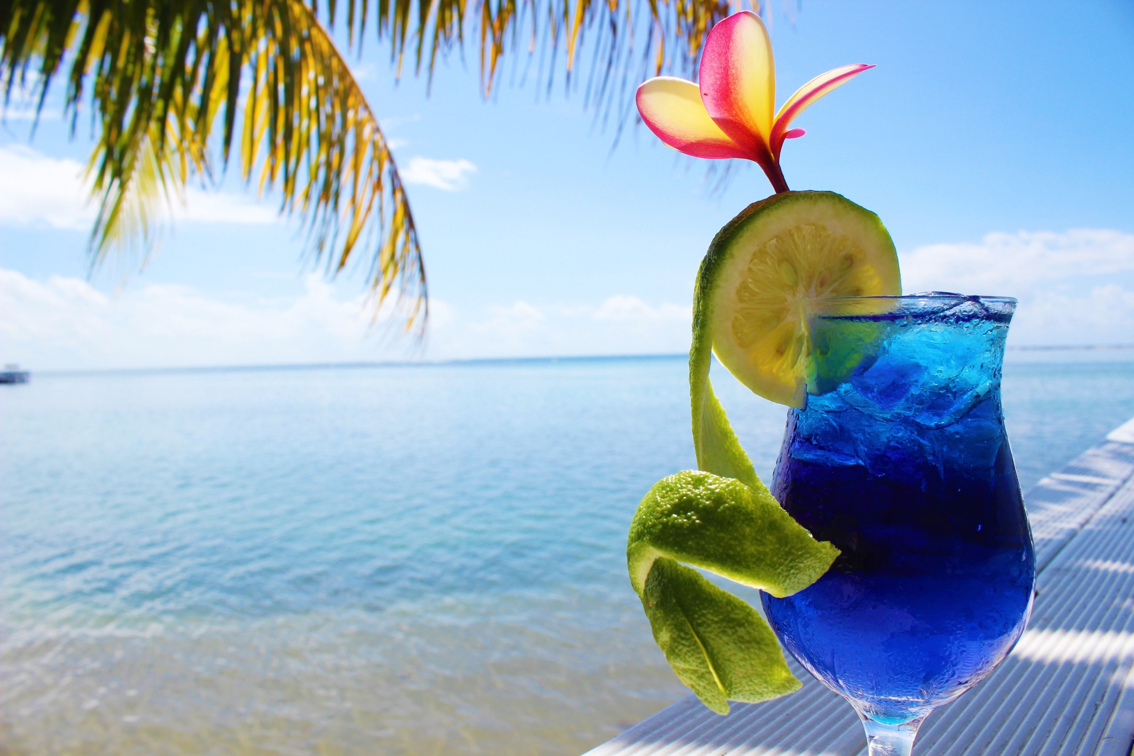 A tropical drink with a slice of lime and a flower garnish, set against a beach backdrop with clear blue water and palm trees.