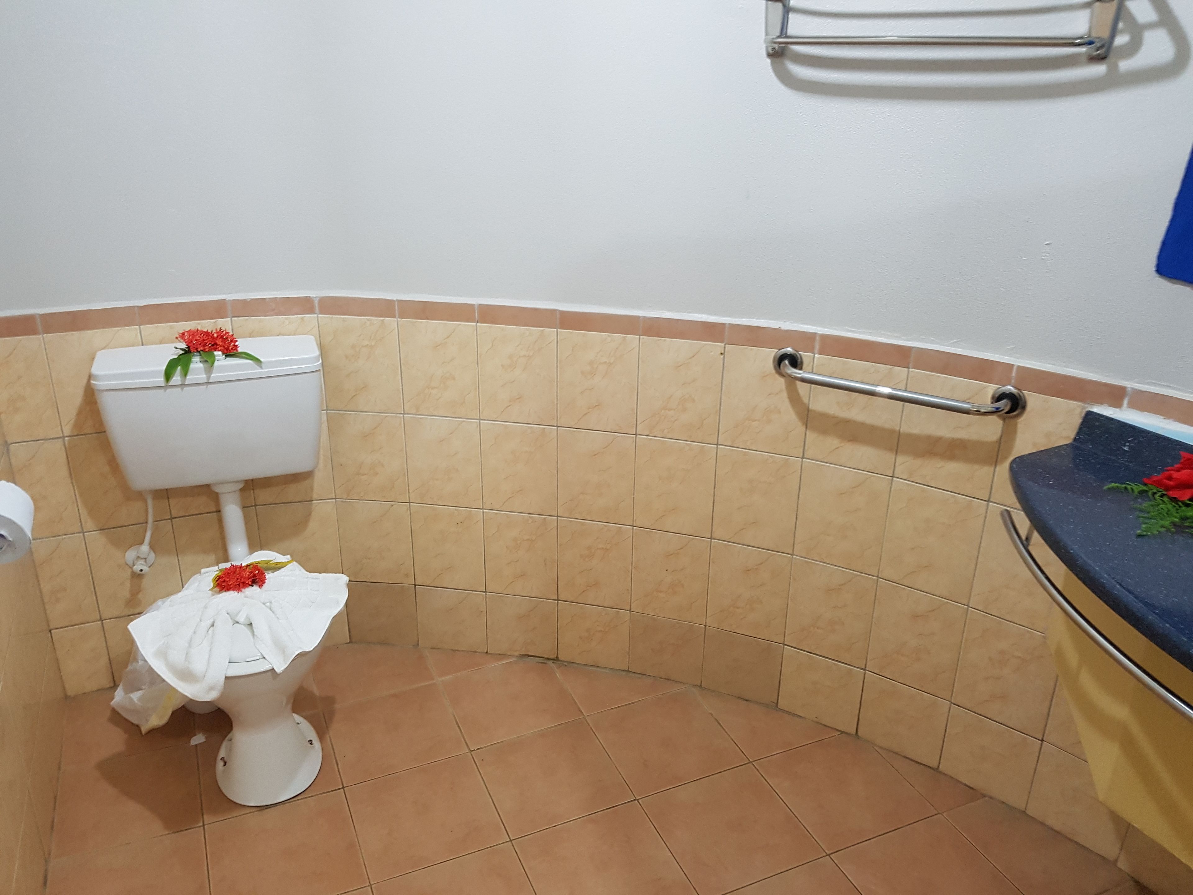 Een badkamer met toilet, een handgreep en een wastafel met handdoek.