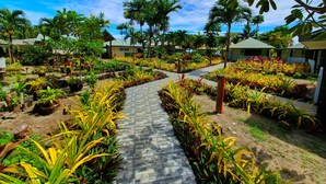 A tropical resort with a paved walkway surrounded by lush greenery and palm trees. - Le Uaina Beach Resort (Faleapuna)