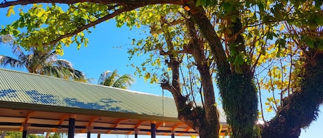 Poolside bar