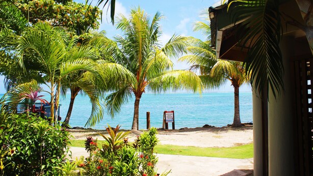 A tropical beach scene with palm trees, a clear blue sky, and a view of the ocean. - Le Uaina Beach Resort (Faleapuna)
