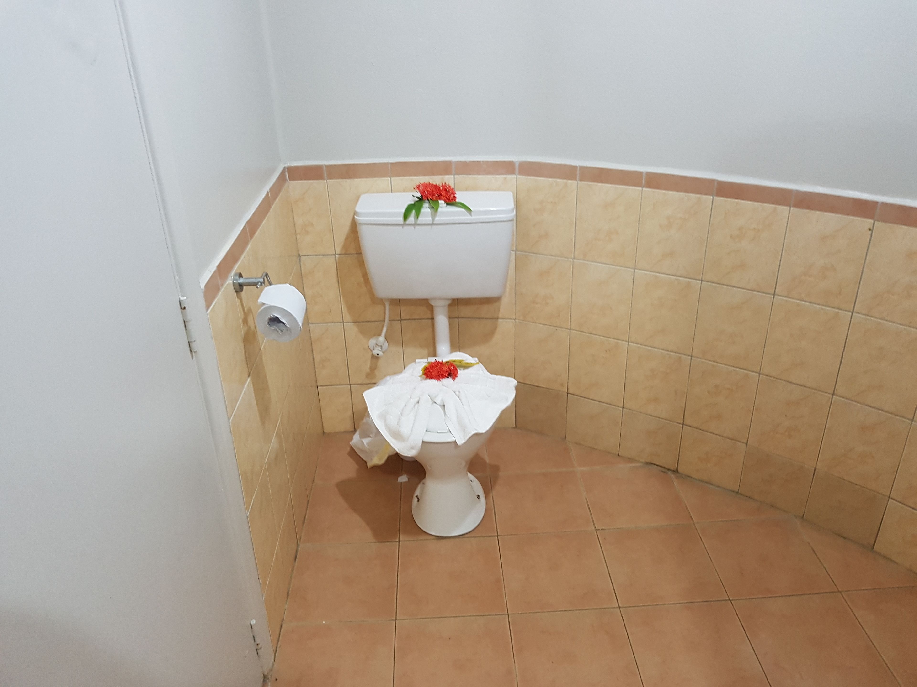 A bathroom with a toilet, a toilet paper holder, and a towel rack.