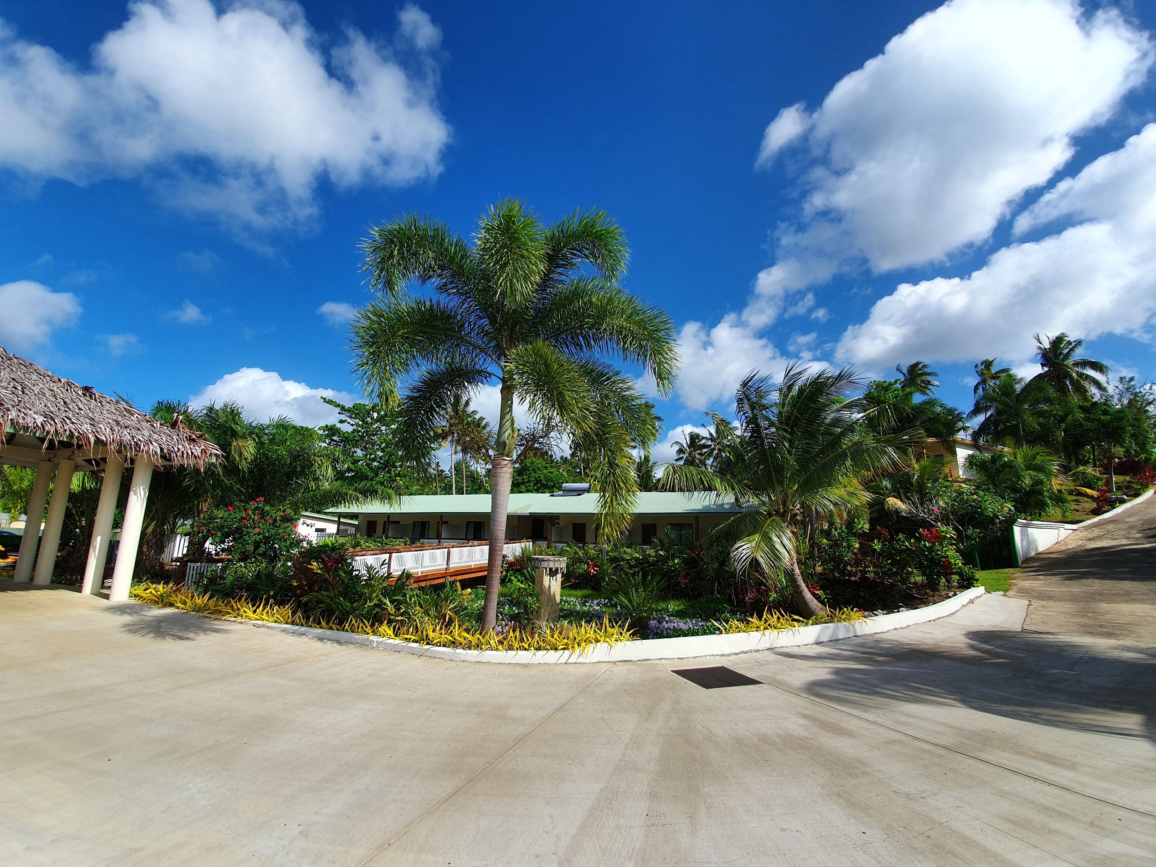 A resort with a thatched-roof structure, palm trees, and a building with a green roof.