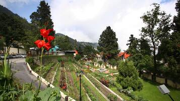 A garden with various plants and flowers, a pathway, and a building with a red roof in the background.