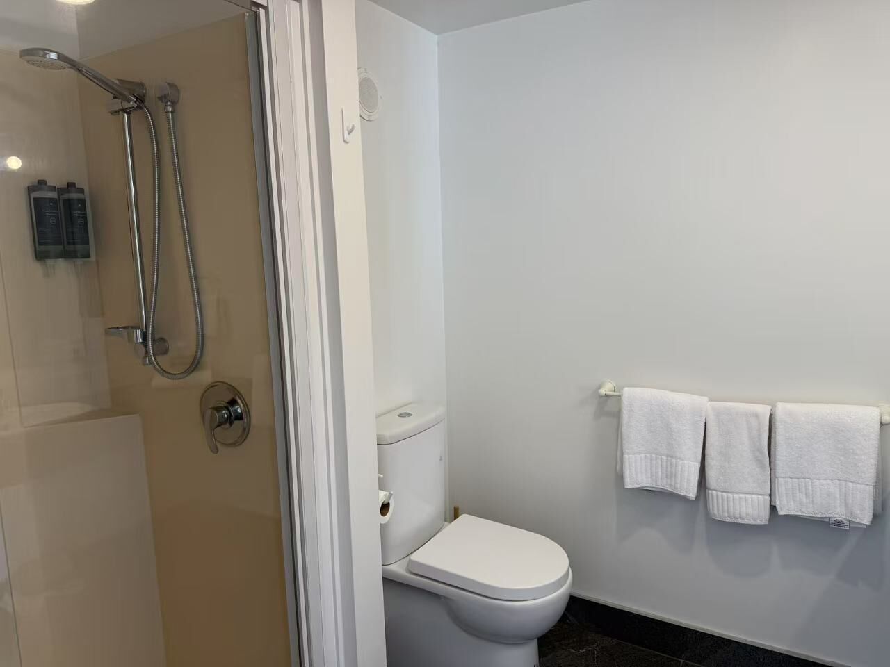 A bathroom with a glass-enclosed shower, a white toilet, and a towel rack with three towels.