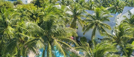 Outdoor pool, pool loungers