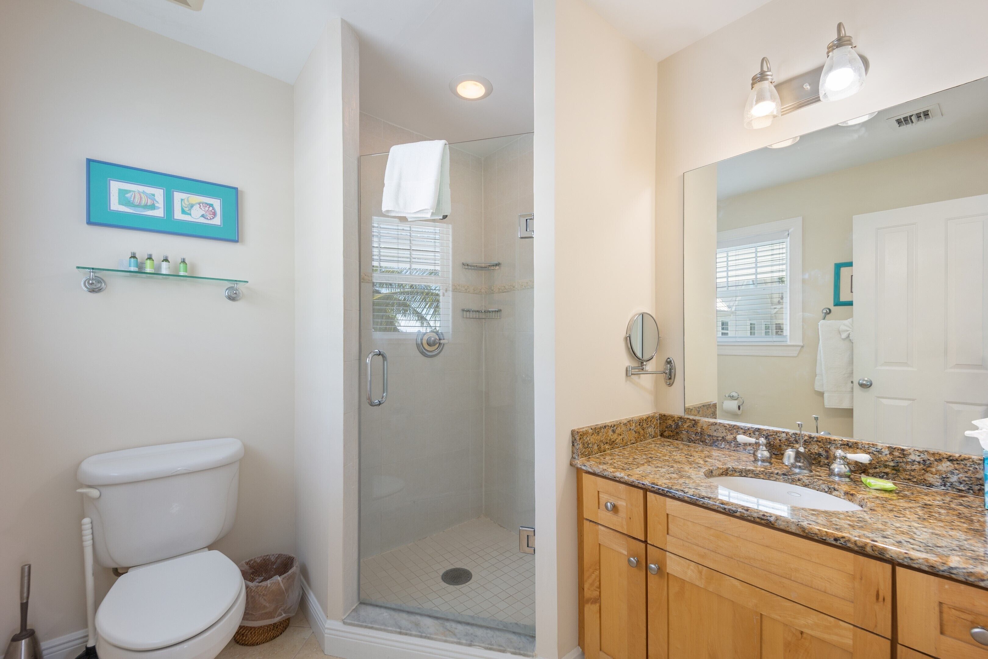 A bathroom with a toilet, shower, sink, and vanity.