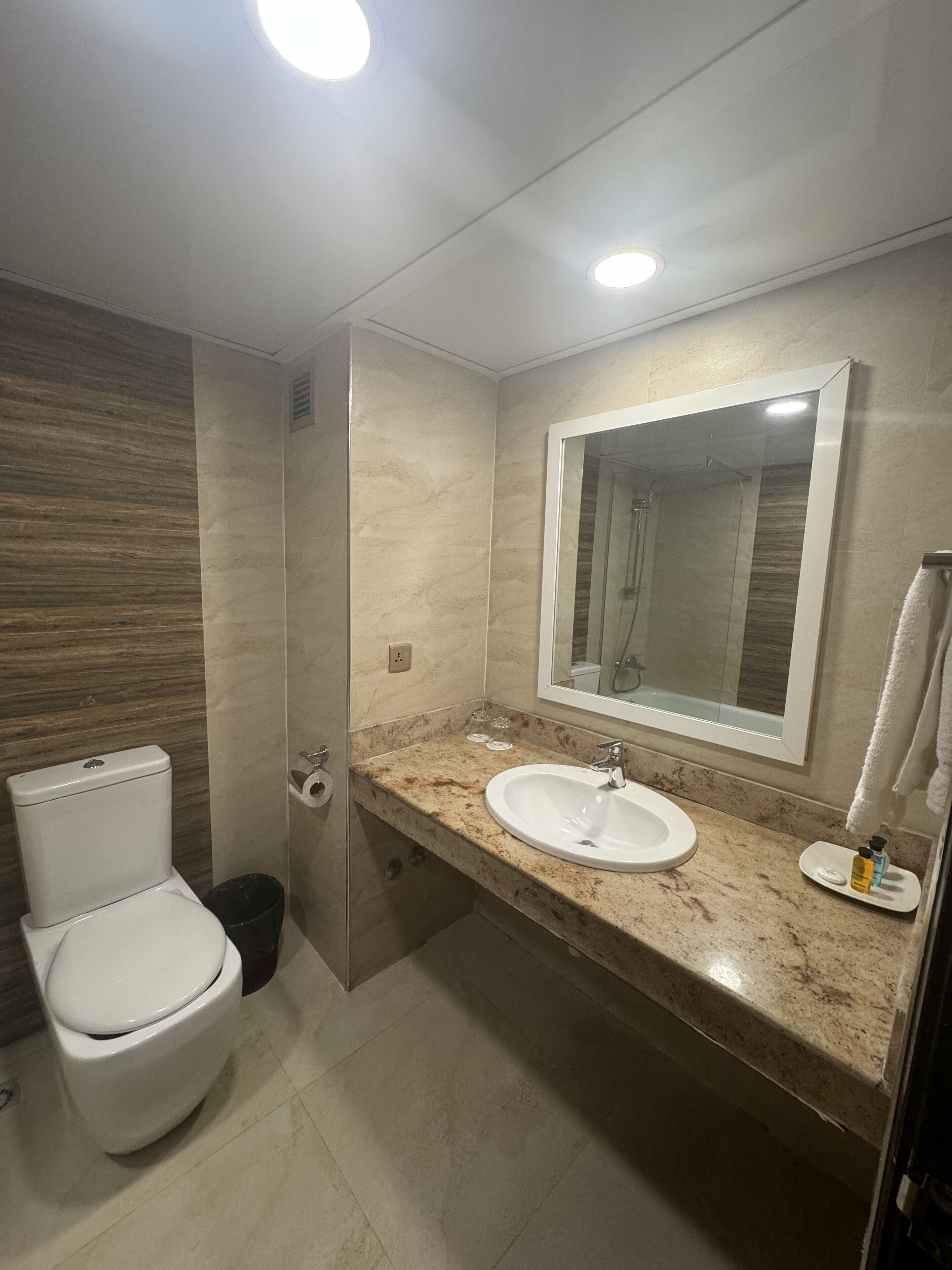 A bathroom with a toilet, sink, mirror, and shower.