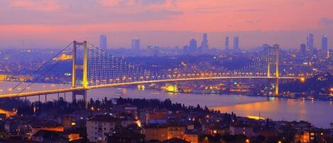 A cityscape with a prominent bridge and a river.