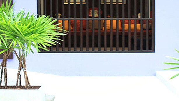 Una ventana con barrotes verticales, una planta en primer plano y una vista parcial de una habitación con cama y ventana al fondo.