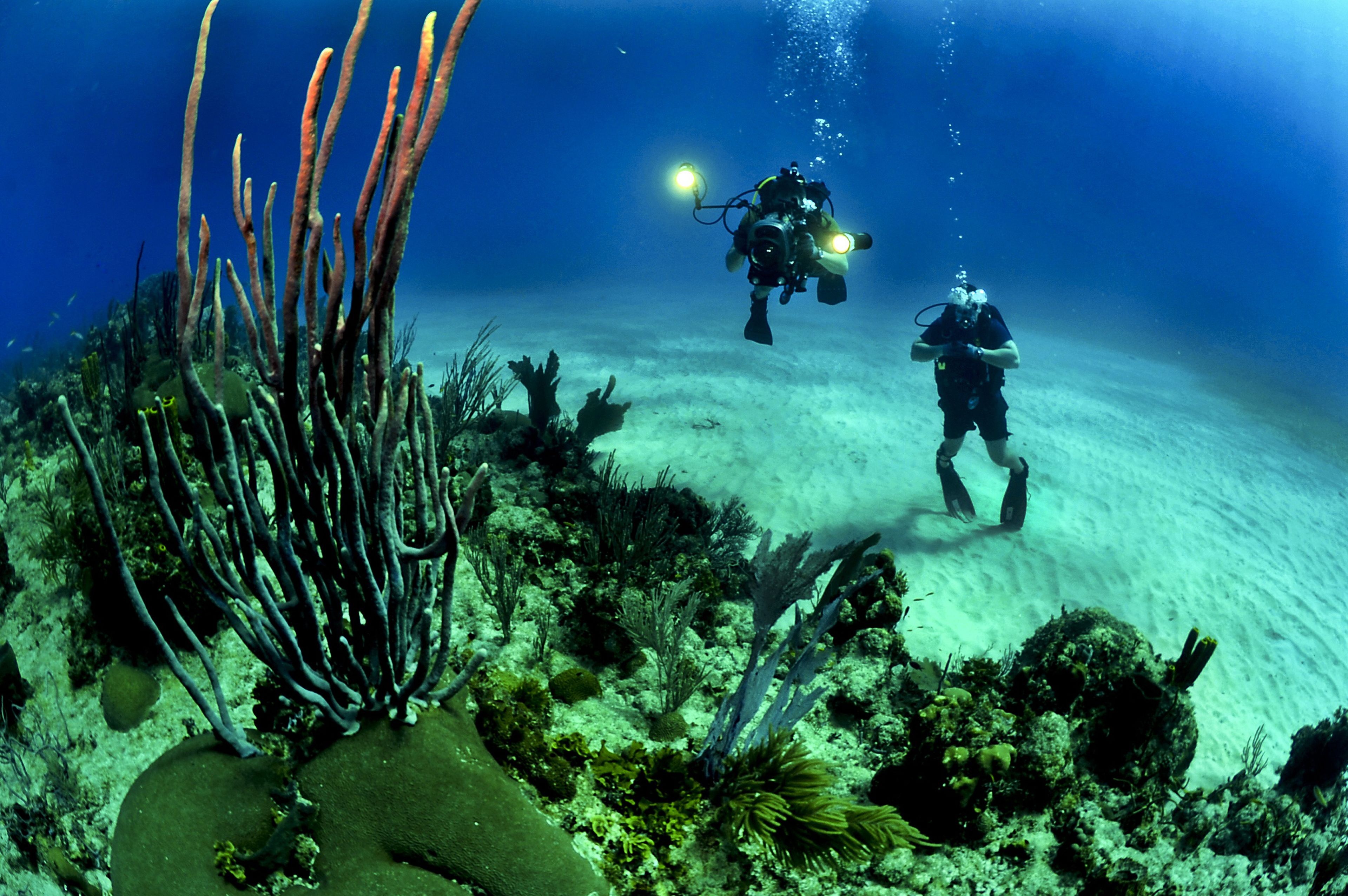 private beach, sun-loungers, beach umbrellas, beach towels