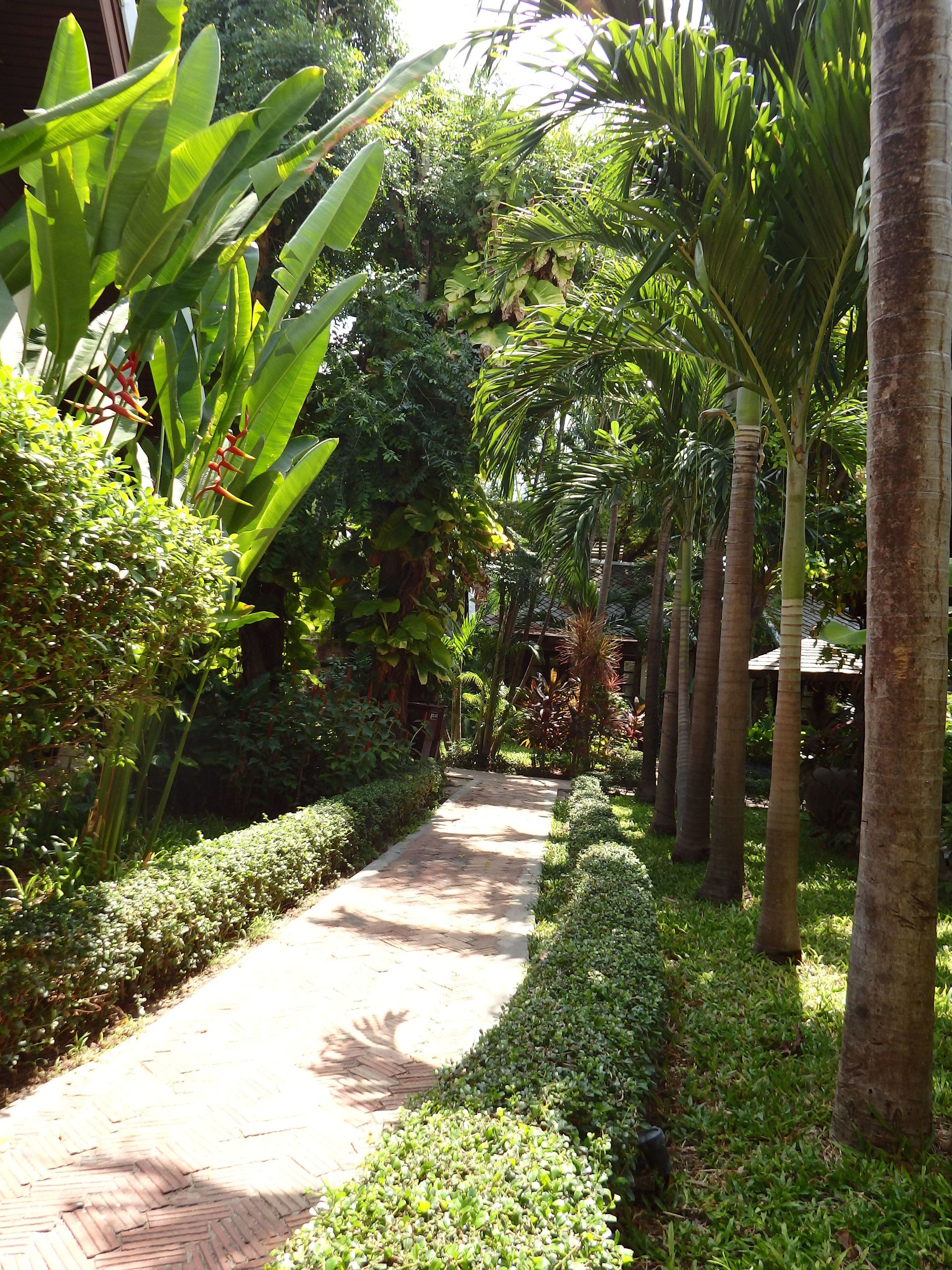 Foto - Montien House Chaweng Beach Resort