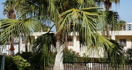 El Sombrero Apartments Los Gigantes