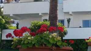 Un edificio con varios balcones, una palmera y una maceta con flores rojas y blancas.