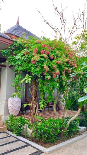 Property grounds - Bhumlapa Garden Resort (Koh Samui)