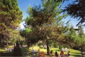 Garden - Hotel Sole & Esperia (Chianciano Terme)