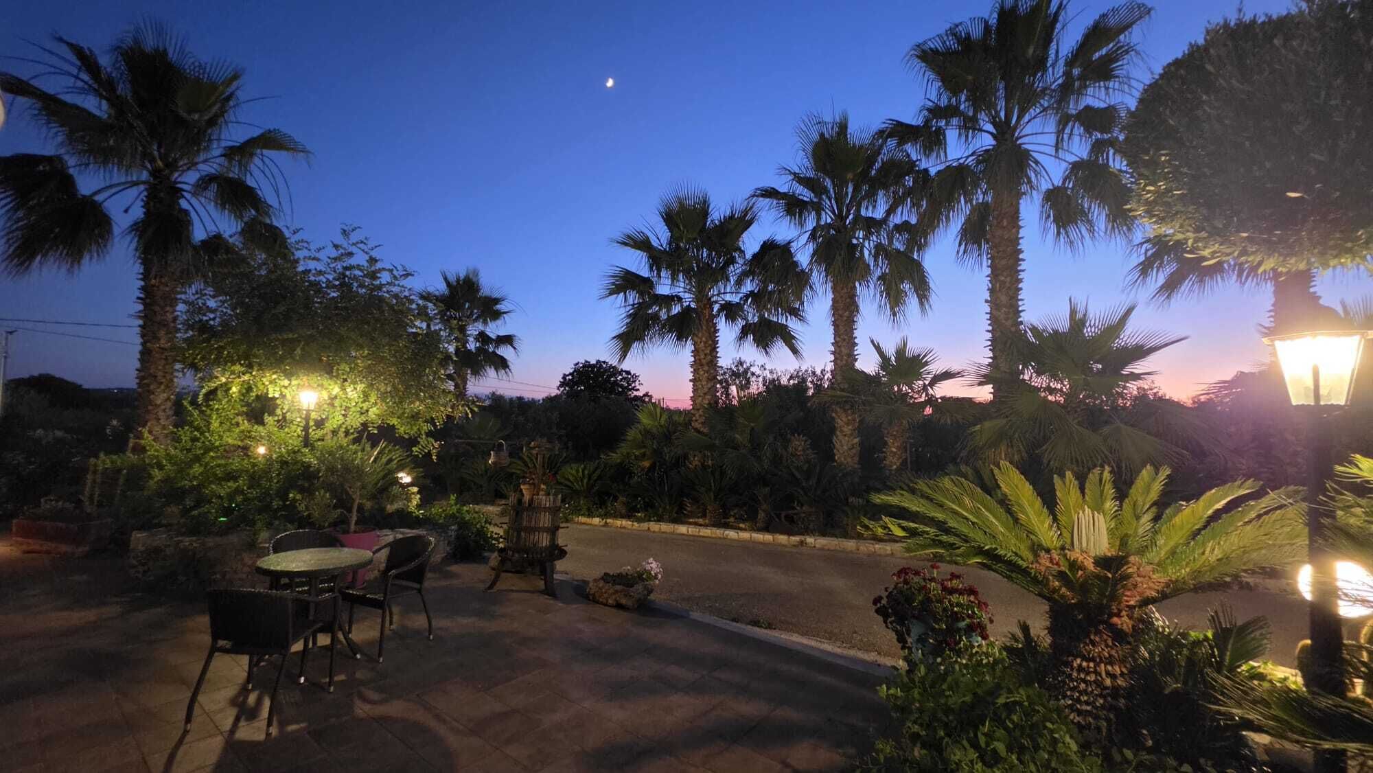 An outdoor seating area with tables and chairs, surrounded by palm trees and plants, under a night sky with a visible moon.