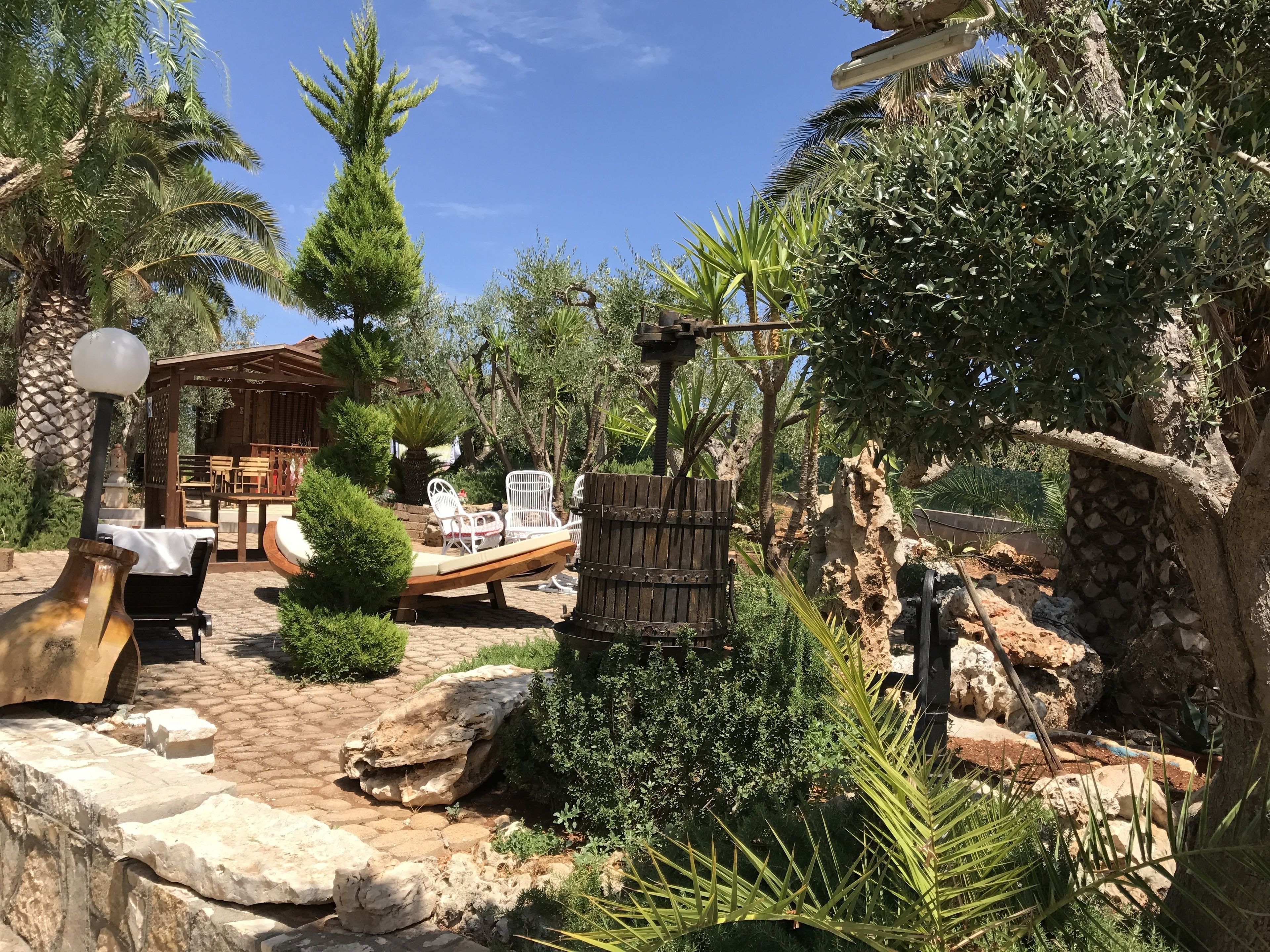 حديقة