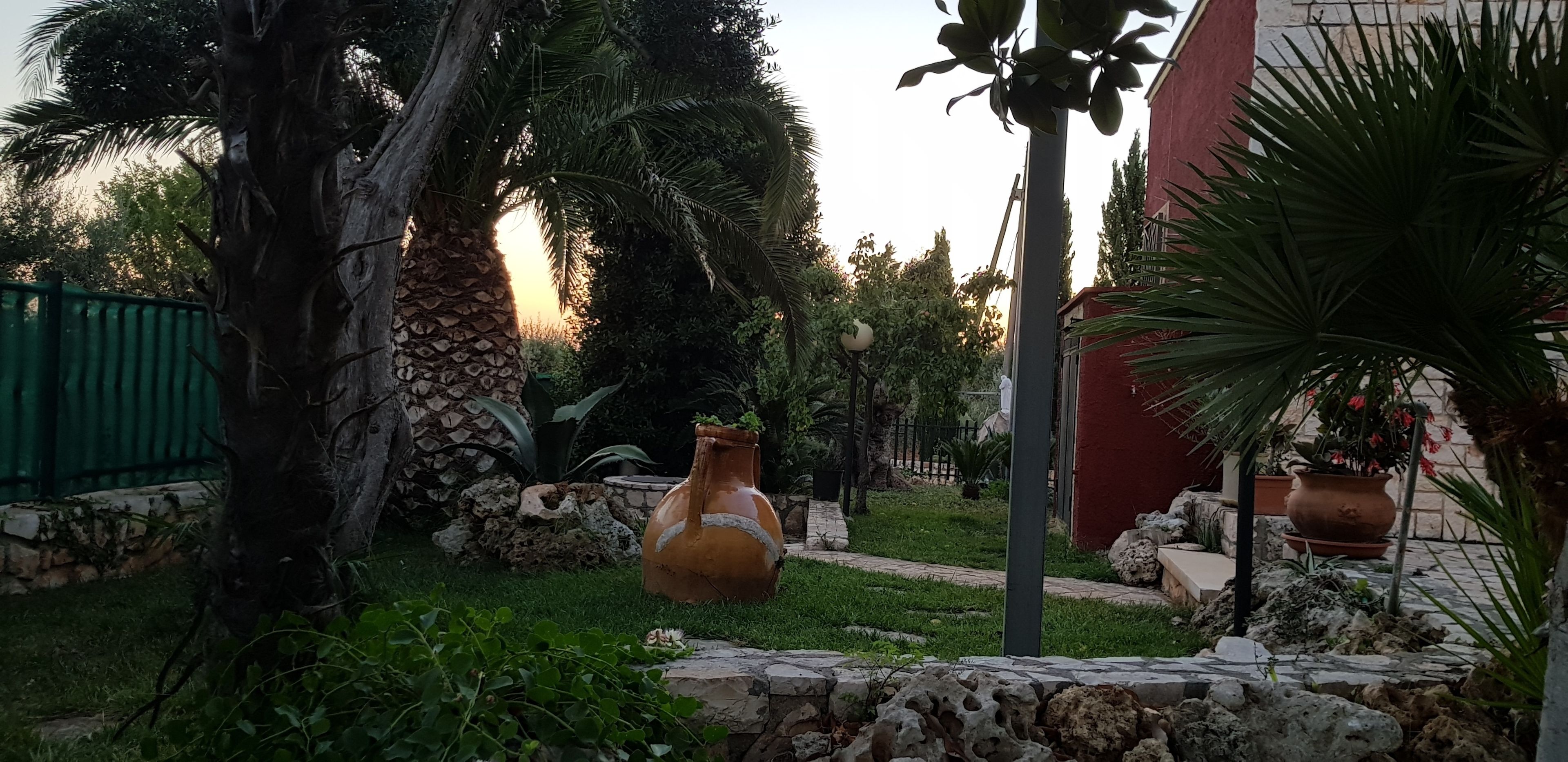 Un jardín con una maceta de terracota grande, un muro de piedra y una palmera.