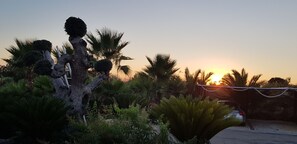 Garden - Il Trulletto (Monopoli)