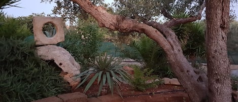 Jardin