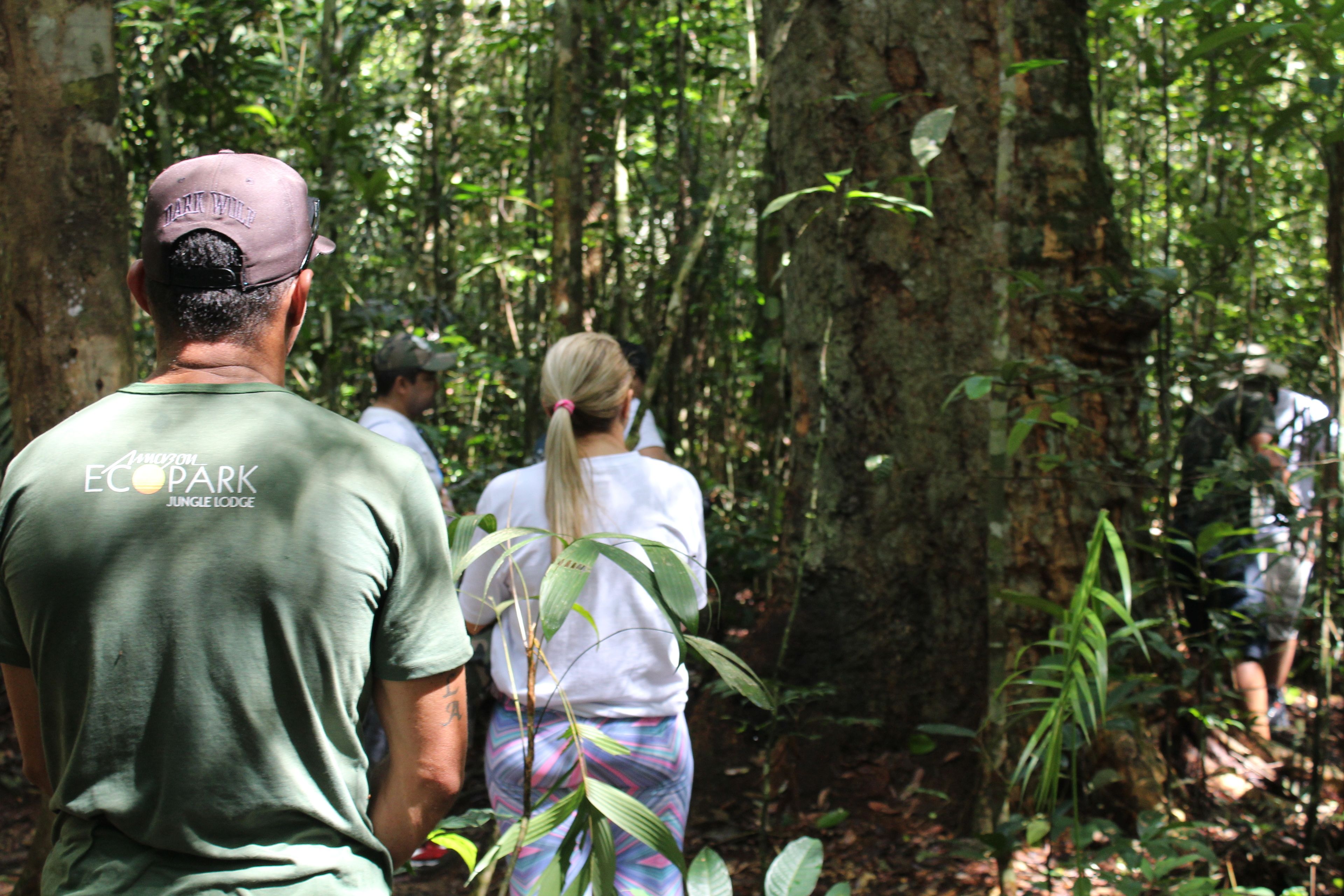 A group of people walking through a forested area with trees and foliage.